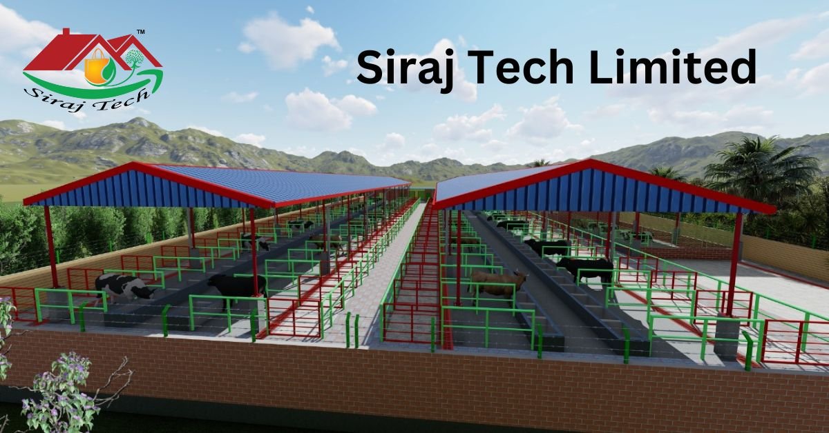 Modern Cow Shed Design in Khulna | Best Cattle Shed Plan with Cost