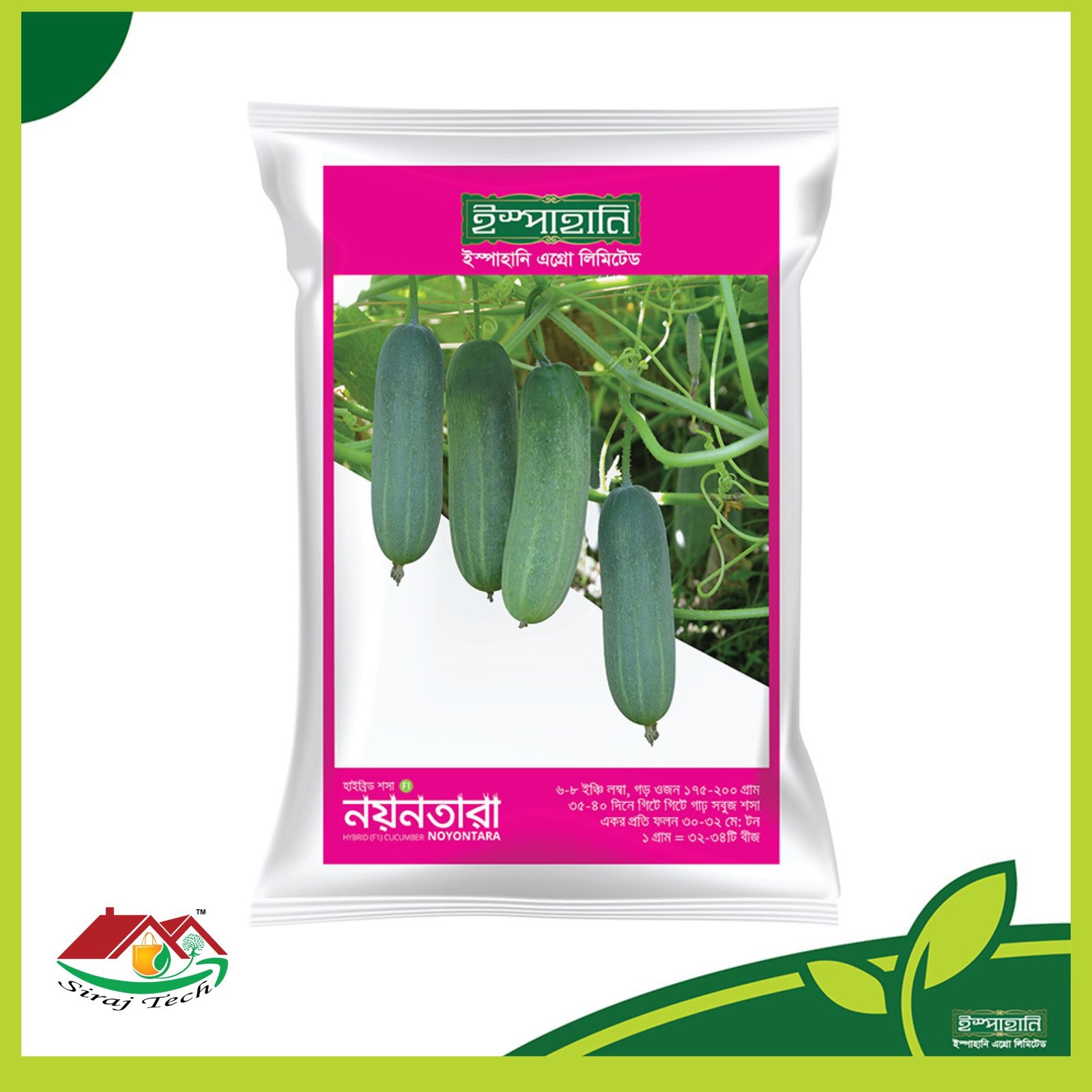 Noyontara Cucumber - Hybrid F1 - নয়নতারা হাইব্রিড শসা