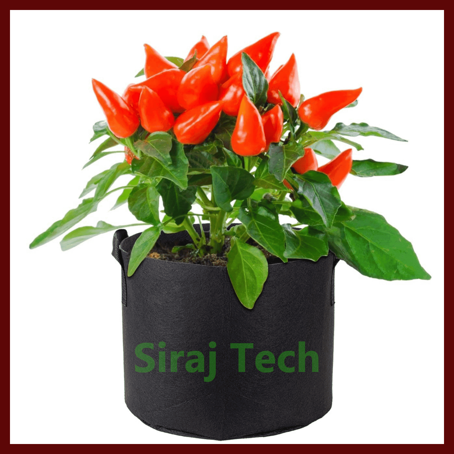 Black Geo Gardening Grow bag price | ছাদ বাগানের জন্য জিও গ্রো ব্যাগ - Black 300GSM 2
